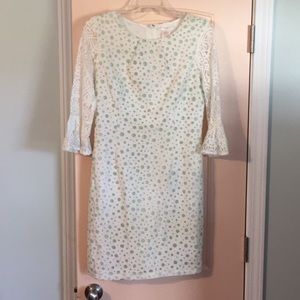 Beautiful Lacey sleeve dress